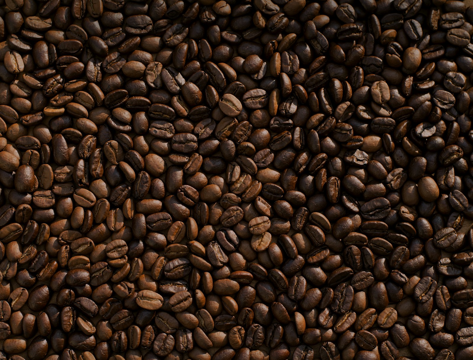 Cà phê Robusta Việt Nam